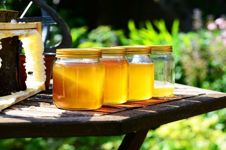 Мёд, масло и консервация из экологически чистого края на ярмарке в БЦ «Тверь»