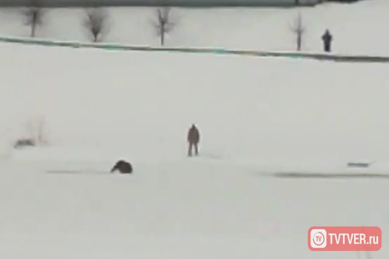 В Твери сняли на видео спасение провалившегося под лёд мужчины