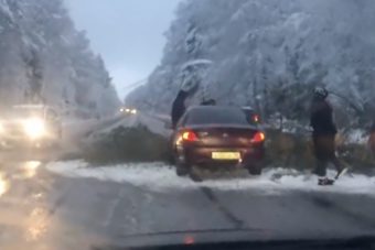 В Тверской области ель не выдержала тяжесть снега и упала на проезжающий автомобиль