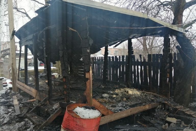 Десятки кур сгорели во время пожара в Ржеве
