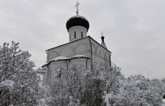 Губернатор поздравил с Рождеством воспитанниц центра «Родник»