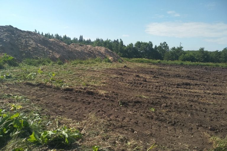 В Тверской области землевладелец превратил 2 га земли в пустыню, нанес ущерб 320 млн и получил штраф 3 тысячи рублей