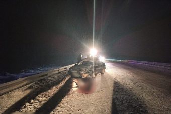 На М-9 в Тверской области легковушка сбила лося