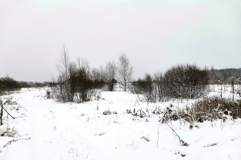 В Тверской области землевладельца оштрафовали за зарастание 28 гектаров сельхозугодий
