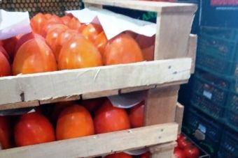 Небезопасными овощами и фруктами торговали в Твери