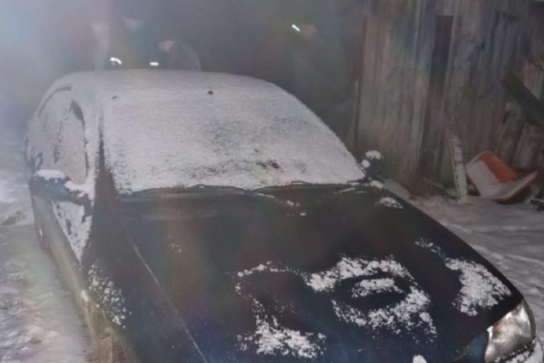 В Старицком районе задержали браконьера, сбившего кабана