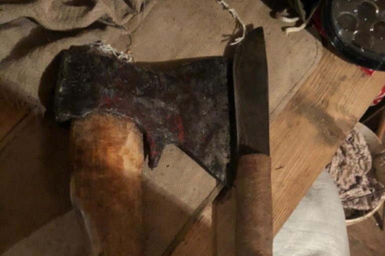 В Старицком районе задержали браконьера, сбившего кабана