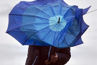 МЧС предупредило жителей Тверской области об усилении ветра