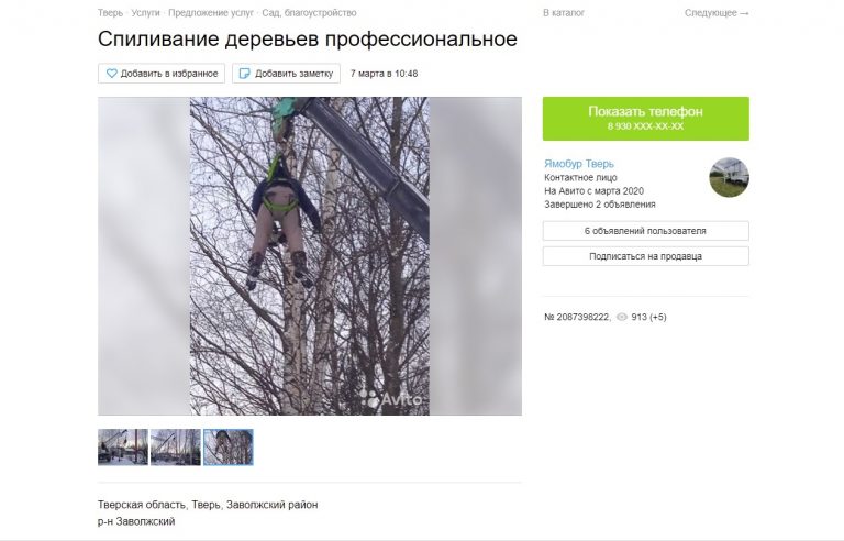 В Тверской области рабочих подвешивают для опилки деревьев