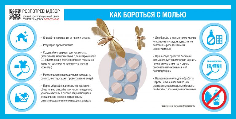 В Роспотребнадзоре назвали эффективное оружие против моли