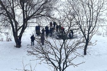 В Тверской области выясняют причины массового мора рыбы В Тверской области выясняют причины массового мора рыбы
