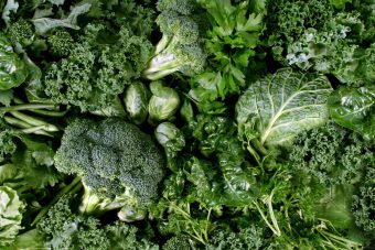 Выращенная на синтетических удобрениях продукция получит "зеленую" марку