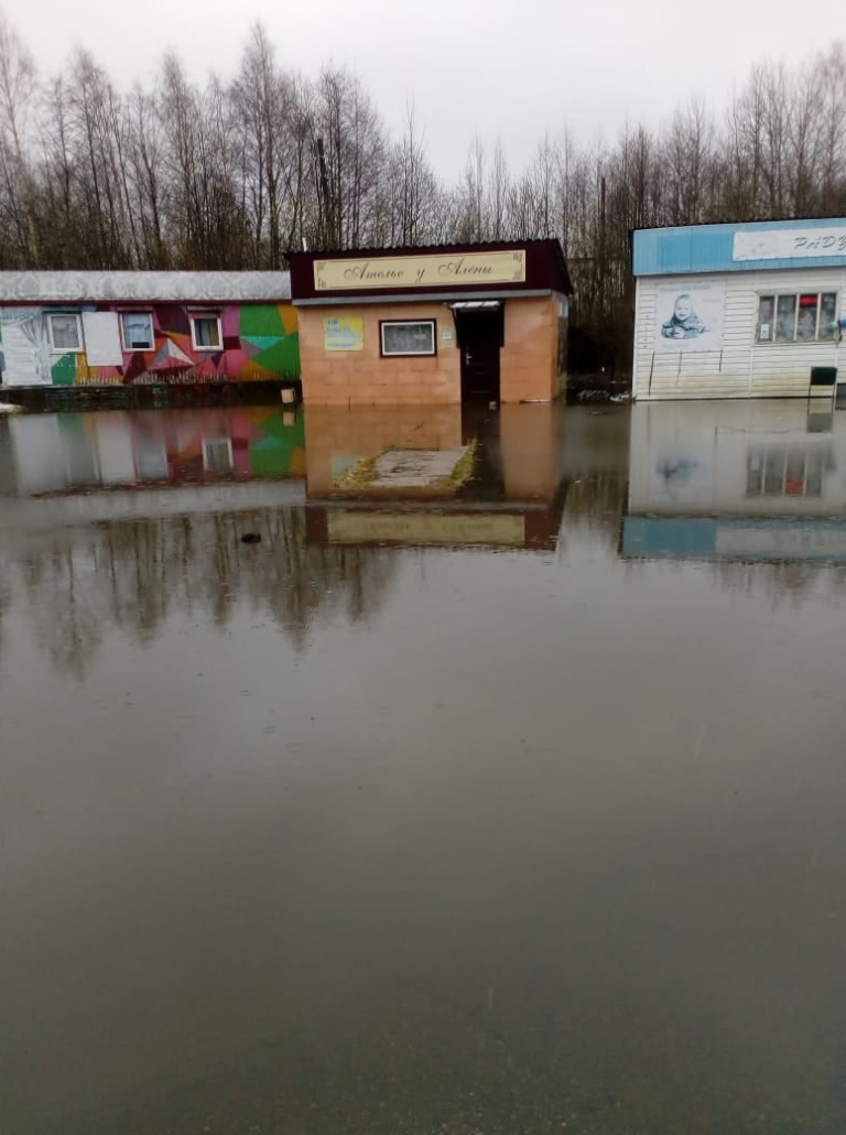 В Тверской области из-за заросших и забитых дренажных канав вода начала подтапливать подворья жителей