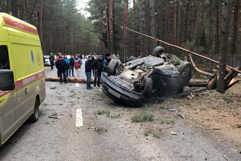 В Твери иномарка протаранила дерево, двое получили тяжёлые травмы