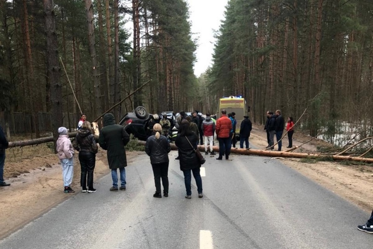 В Твери иномарка протаранила дерево, двое получили тяжёлые травмы