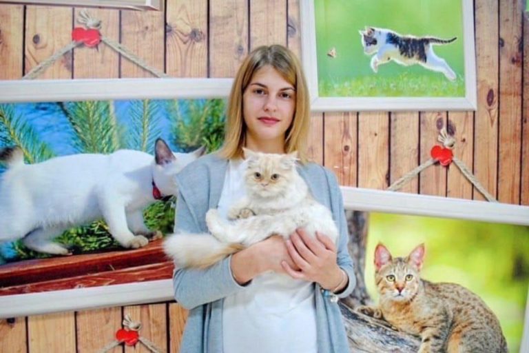 «Федерация кошек» приехала в Тверь