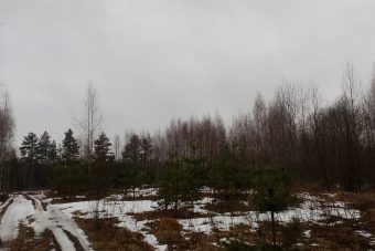 Крупный штраф грозит собственнику запущенных сельхозугодий под Лихославлем