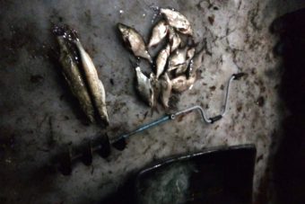 Браконьера с сетями задержали в заливе реки Волга в Тверской области Браконьера с сетями задержали в заливе реки Волга в Тверской области