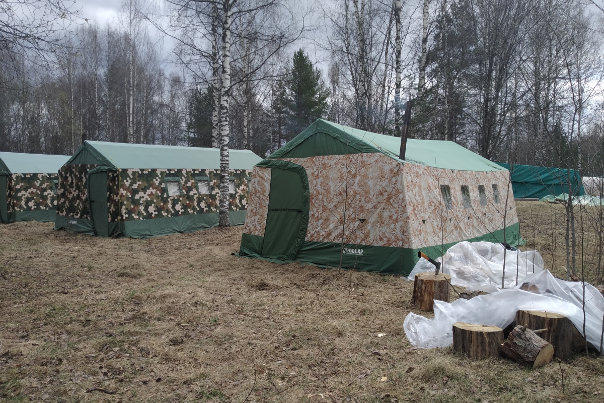 Останки 162 красноармейцев подняли в ходе «Ржевского выступа»