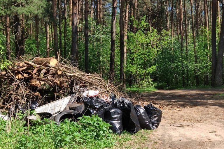 В Твери очистили от мусора Краснофлотскую набережную и Бобачевскую рощу