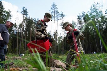 Под Тверью высадили 3 тысячи молодых елей