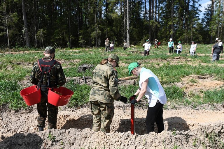 Реализацию нацпроекта "Экология" рассмотрели на заседании Правительства Тверской области