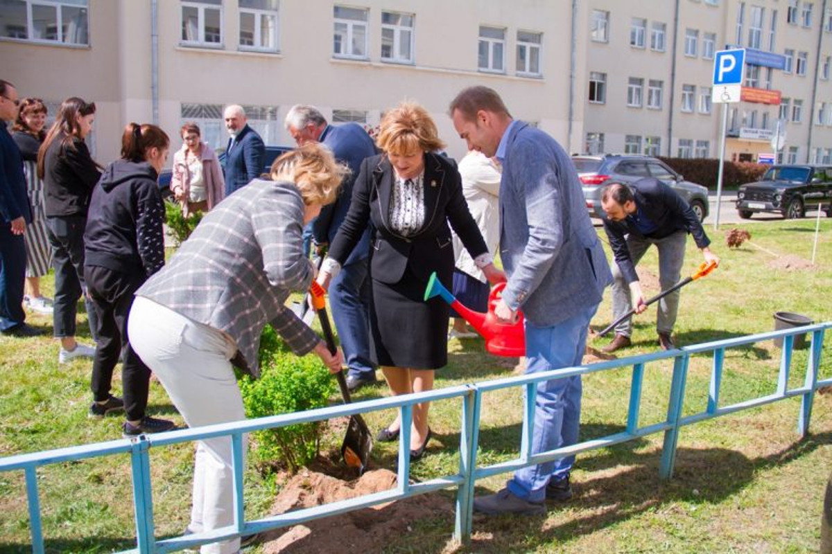 В Твери на Студенческом переулке между корпусами ТвГУ высадили деревья