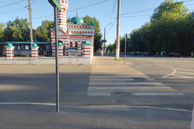 Мотоциклист погиб после столкновения с лосем в Тверской области