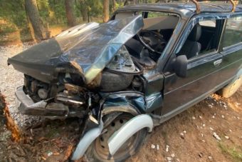 В Тверской области водитель «Нивы» на полном ходу врезался в дерево
