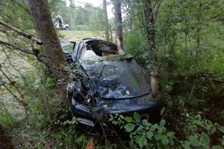 Porsche Panamera сбил лося и врезался в дерево в Тверской области