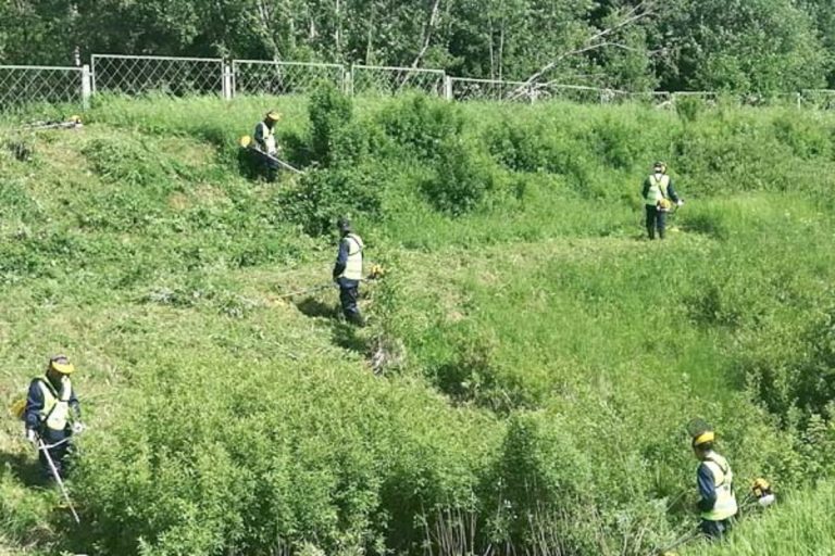 Осужденные косят траву вдоль Октябрьской железной дороги в Тверской области