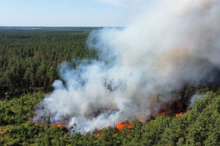 Природный пожар в лесу под Тверью сняли на видео с квадрокоптера