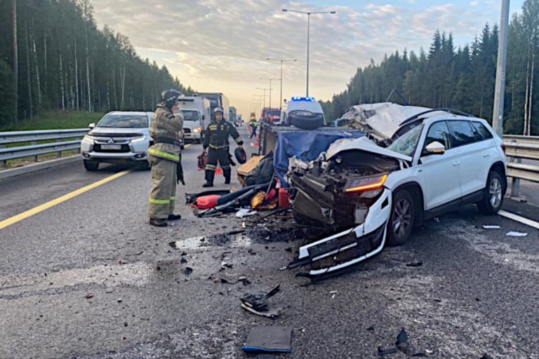 В Тверской области на трассе М-11 водительница Skoda Kodiaq на скорости протаранила полуприцеп