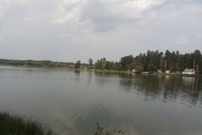 В Тверской области из реки Молога извлекли труп мужчины