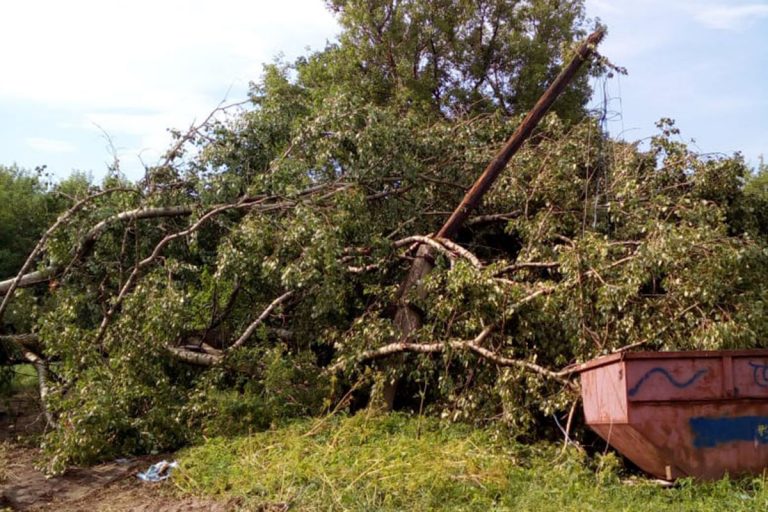 Появились фото последствий сильного урагана в Тверской области