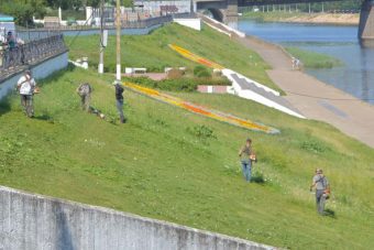 В Твери продолжают озеленять и благоустраивать территории
