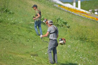 В Твери продолжают озеленять и благоустраивать территории В Твери продолжают озеленять и благоустраивать территории