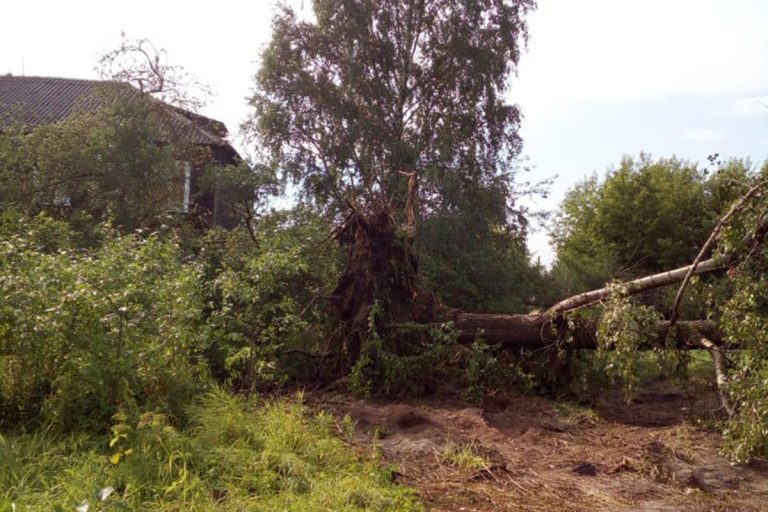 Появились фото последствий сильного урагана в Тверской области