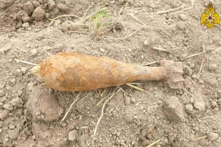 В деревне Старицкого района обнаружили минометную мину