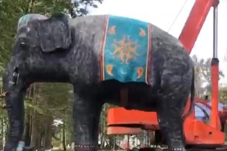 В Кимрском районе установили 4-метровую скульптуру слона
