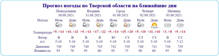 Дождь, гроза и порывистый ветер ожидаются в Тверской области 30 августа