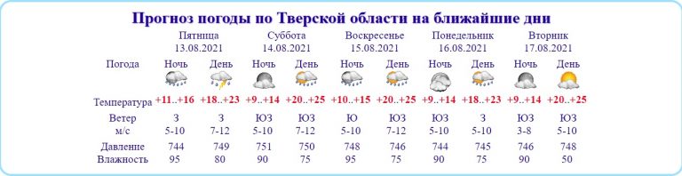 Выходные в Тверской области будут теплыми и дождливыми
