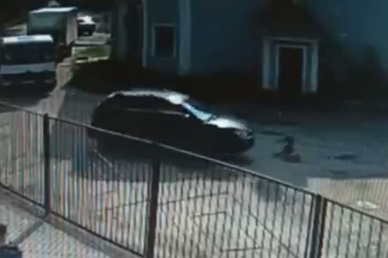 Тверской автомобилист умышленно переехал лежащую собаку