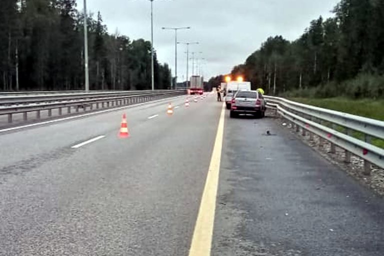 Спящий за рулем водитель Skoda протаранил фуру на трассе М-11 в Тверской области