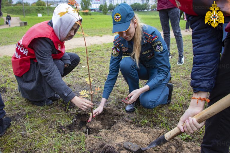 В память о жертвах теракта в Беслане волонтеры высадили аллею рябин в тверском парке «Тьмака»