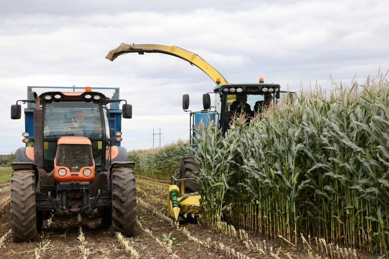 Урожай на 75% посевных площадей собран в Тверской области