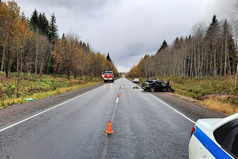 В Тверской области водитель скрылся с места ДТП
