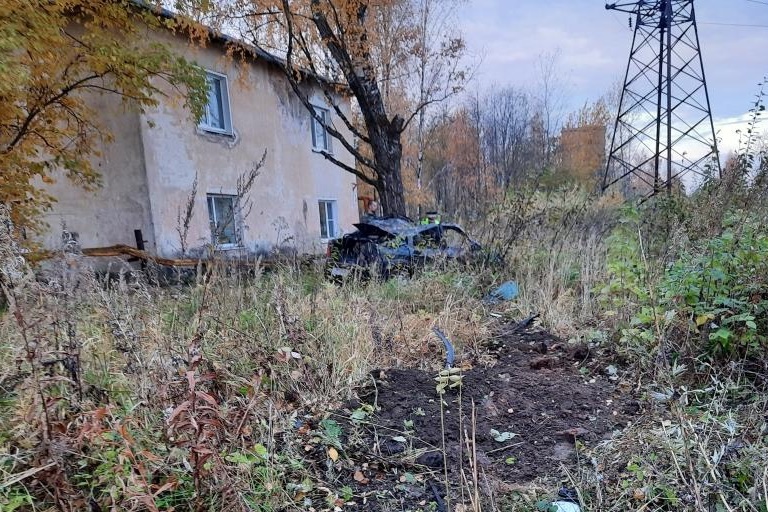 В Тверской области легковушка протаранила дерево, пострадал водитель