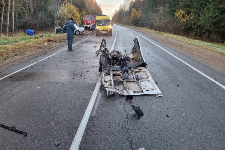 Молодой водитель погиб в лобовом столкновении двух легковушек в Тверской области