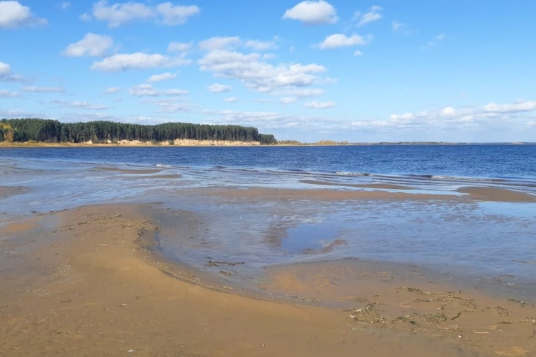 В реке Молога в Тверской области утонул 40-летний мужчина